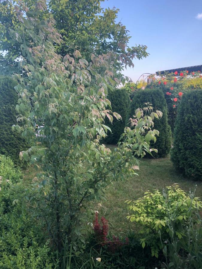 Rezydencja Lux Rewa Zewnętrze zdjęcie